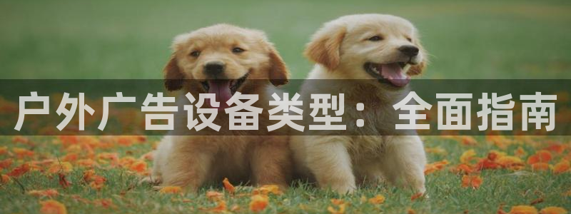 杏宇平台客服：户外广告设备类型：全面指南