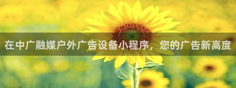 杏宇平台注册地址在哪里