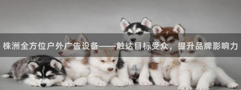 杏宇平台是什么：株洲全方位户外广告设备——触达目标受众，提升品牌影响力