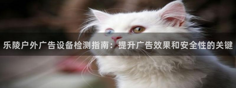 杏宇平台注册地址：乐陵户外广告设备检测指南：提升广告效果和安全性的关键