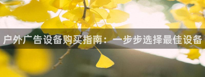 杏宇平台怎么样赚钱
