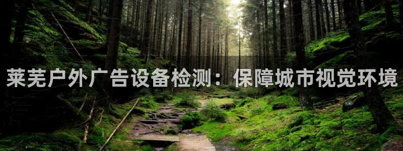 杏宇平台代理怎么样：莱芜户外广告设备检测：保障城市视觉环境