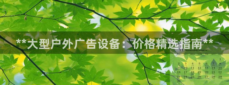 杏宇平台代理：**大型户外广告设备：价格精选指南**