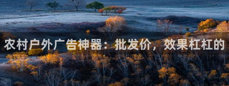 杏宇平台招商怎么样