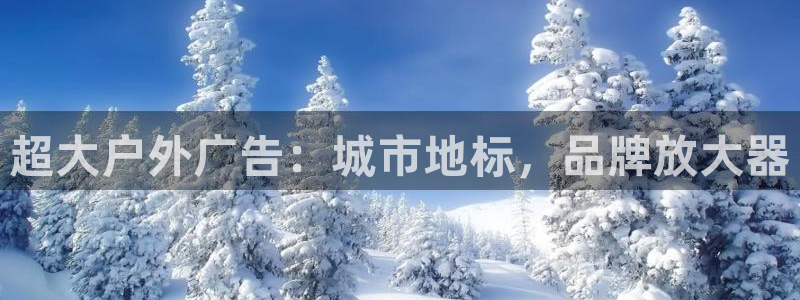 杏宇平台代理多少钱一个