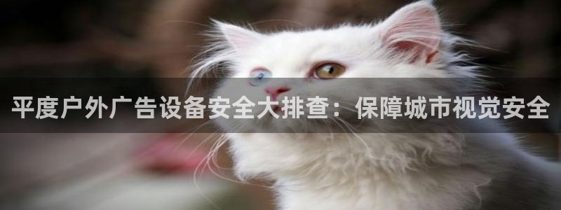 杏宇平台登录步骤