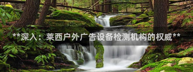 杏宇平台代理多少钱一个月