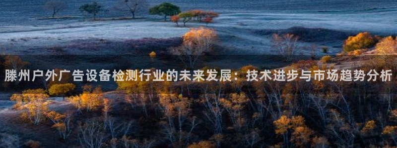 杏宇平台代理多少钱：滕州户外广告设备检测行业的未来发展：技术进步与市场趋势分析