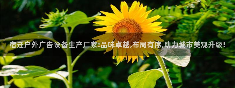 杏宇平台登陆：宿迁户外广告设备生产厂家:品味卓越,布局有序,助力城市美观升级!
