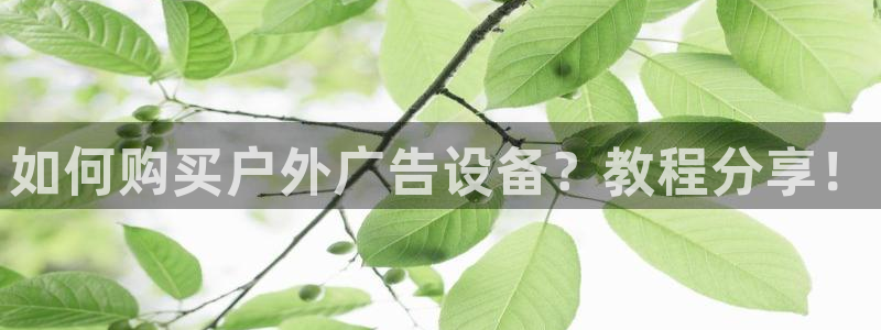 杏宇平台登录步骤：如何购买户外广告设备？教程分享！