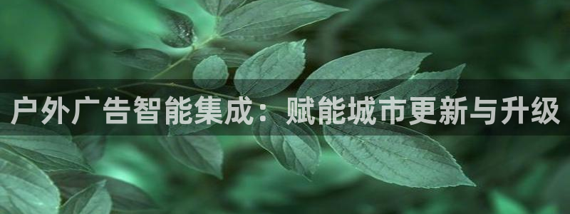 杏宇平台招商怎么样：户外广告智能集成：赋能城市更新与升级