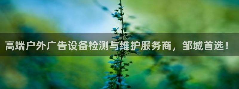 杏宇平台官网注册：高端户外广告设备检测与维护服务商，邹城首选！
