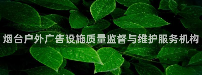 杏宇平台提现为什么这么久呢：烟台户外广告