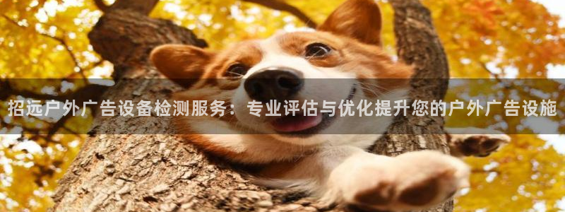 杏宇平台招商电话号码：招远户外广告设备检