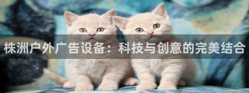 杏宇平台注册地址：株洲户外广告设备：科技与创意的完美结合