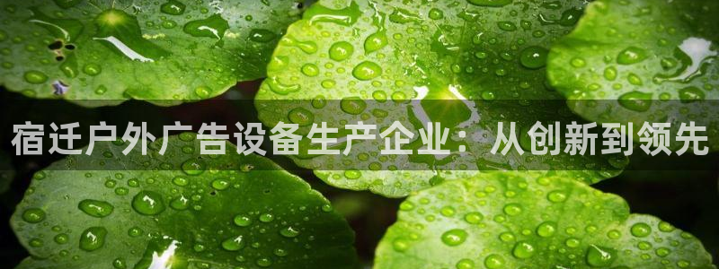 杏宇平台代理怎么赚钱快：宿迁户外广告设备生产企业：从创新到领先