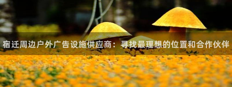 杏宇平台总代理：宿迁周边户外广告设施供应商：寻找最理想的位置和合作伙伴
