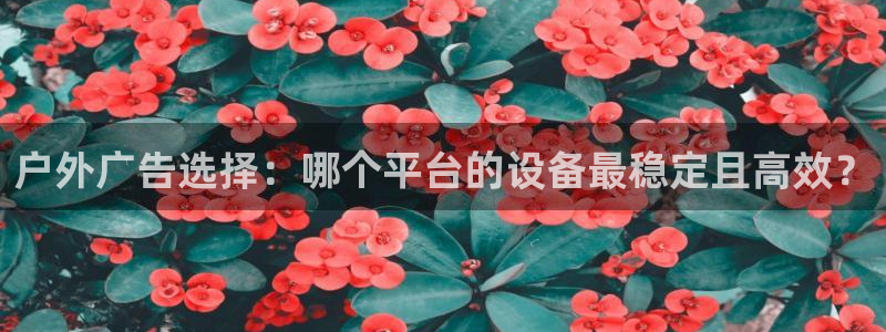 杏宇平台开户：户外广告选择：哪个平台的设备最稳定且高效？