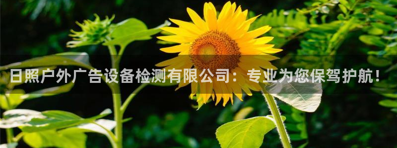 杏宇平台代理怎么赚钱快：日照户外广告设备检测有限公司：专业为您保驾护航！