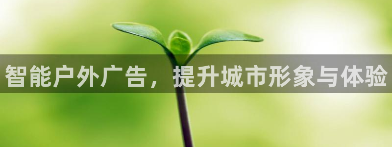 杏宇平台登录步骤是什么：智能户外广告，提升城市形象与体验