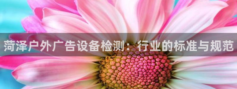 杏宇平台登录步骤：菏泽户外广告设备检测：行业的标准与规范