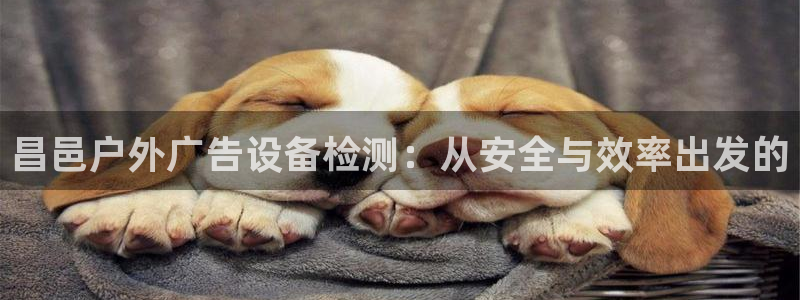 杏宇平台代理多少钱一个月
