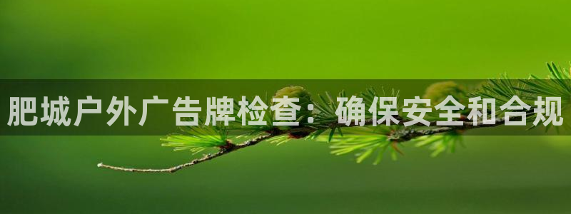 杏宇平台登录方法：肥城户外广告牌检查：确保安全和合规