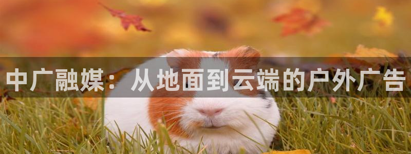杏宇平台怎么样：中广融媒：从地面到云端的户外广告