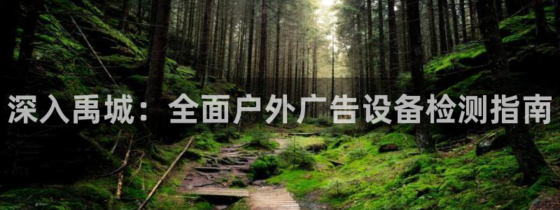 杏宇官方平台官网下载：深入禹城：全面户外广告设备检测指南