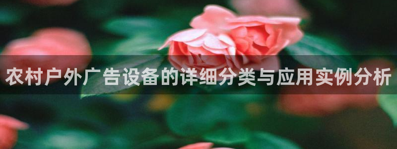 杏宇平台怎么样知乎