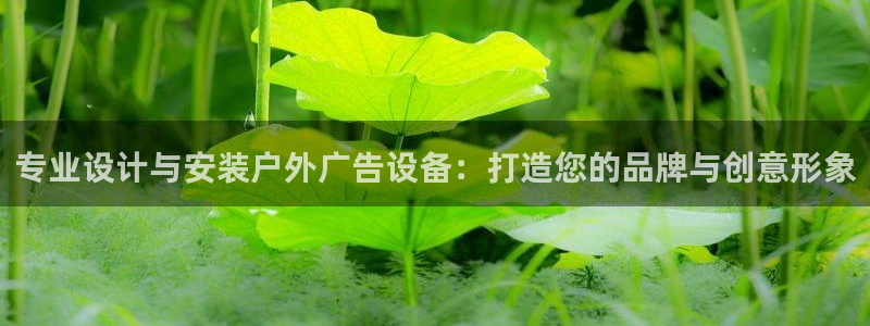 杏宇平台怎么样赚钱：专业设计与安装户外广