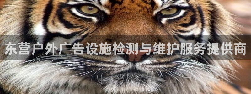 杏宇平台开户：东营户外广告设施检测与维护