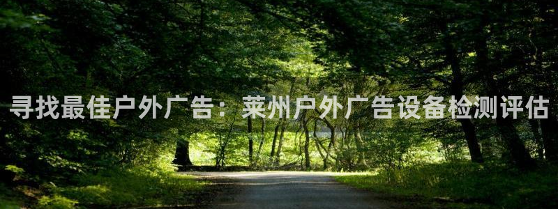 杏宇平台代理怎么赚钱快：寻找最佳户外广告