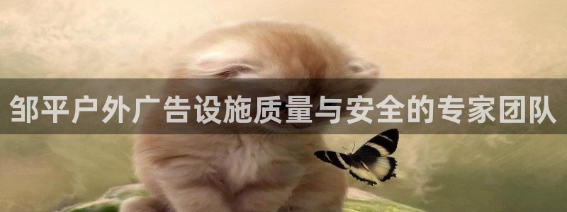 杏宇平台代理怎么样啊：邹平户外广告设施质量与安全的专家团队