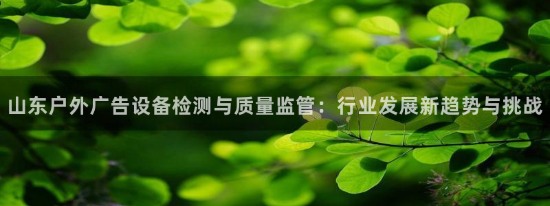 杏宇官方平台官网：山东户外广告设备检测与