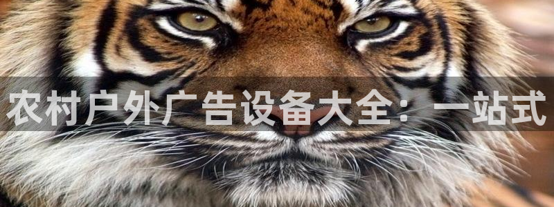 杏宇平台怎么样：农村户外广告设备大全：一站式