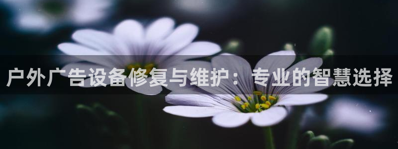 杏宇平台总代理是谁：户外广告设备修复与维